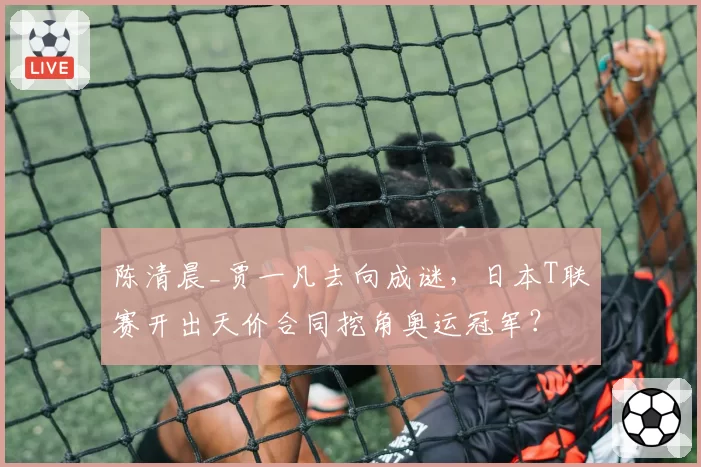 陈清晨_贾一凡去向成谜，日本T联赛开出天价合同挖角奥运冠军？